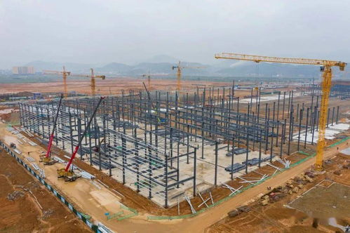 拿地即開工服務向前沖 福建日報頭版關注福鼎這個大項目建設